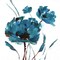 Blue Poppy Splash II Poster Print by Nan - Item # VARPDX16924